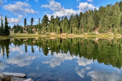 Reflection of trees on lake against sky