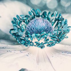 Close-up of purple flower on table