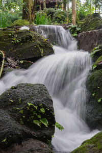 The path of the springs flowing into the lake