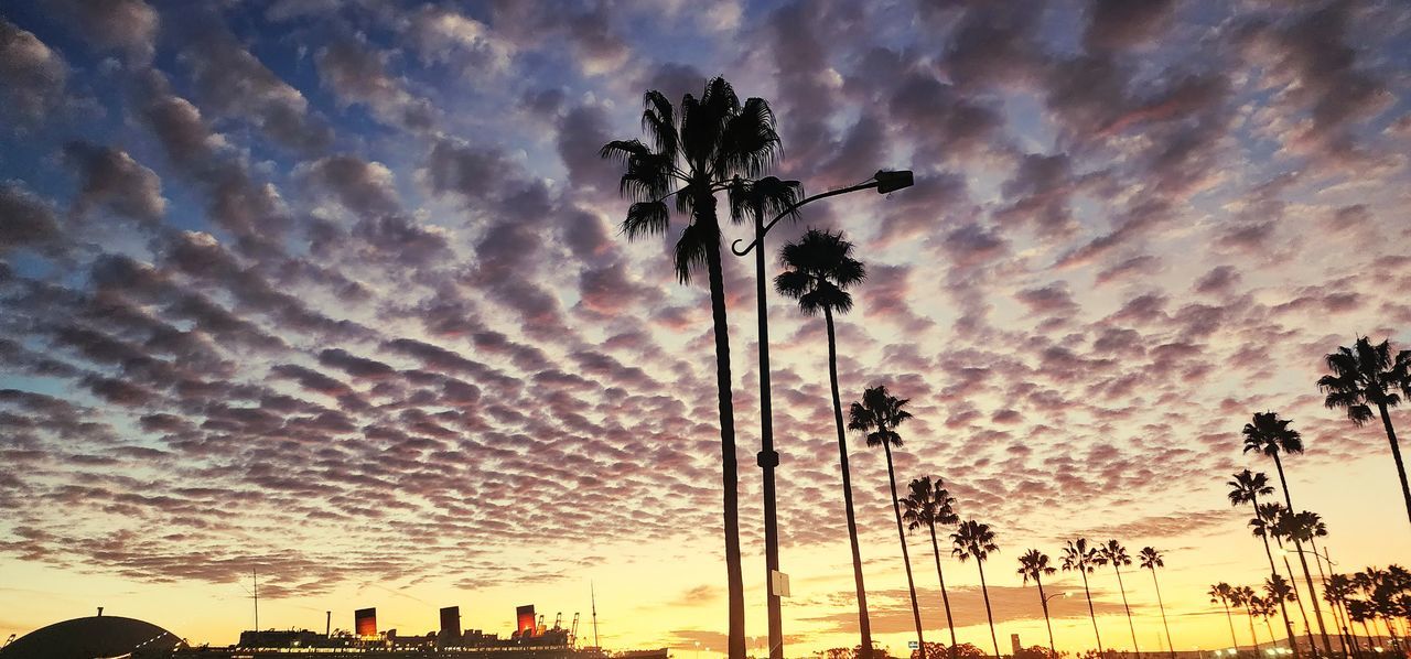 sky, sunset, cloud, evening, nature, dusk, plant, horizon, tree, palm tree, silhouette, architecture, sunlight, no people, beauty in nature, dramatic sky, built structure, afterglow, outdoors, tropical climate, low angle view, city, scenics - nature, building exterior, sun, tranquility, growth