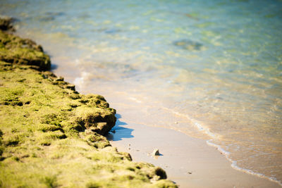 High angle view of beach