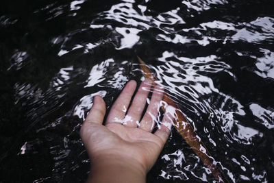 High angle view of hand feeding in water