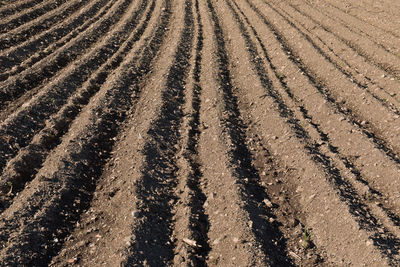 Full frame shot of agricultural field