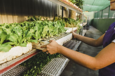 Midsection of female entrepreneur carrying plants at garden center