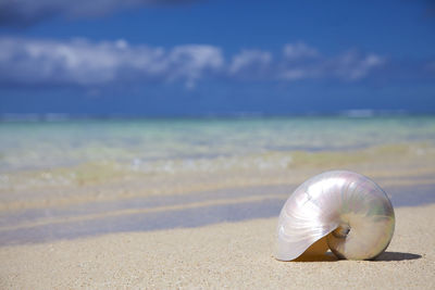 Close-up of water on beach against sky