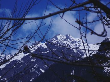 Snow covered landscape