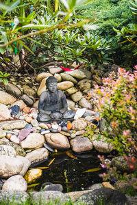 Close-up of statue against plants