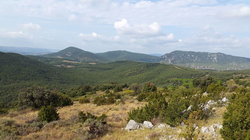 Scenic view of landscape against sky