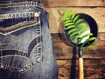 Fern in cooking utensil by jeans pant on wooden table