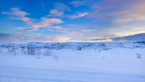 Scenic view of snow covered landscape against blue sky