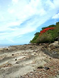 Scenic view of beach against sky