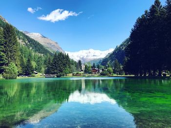 Scenic view of lake by trees against sky