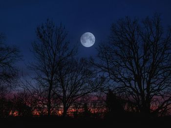 Low angle view of silhouette trees against sky at night