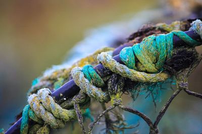 Close-up of tied rope