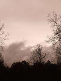 Low angle view of silhouette bare trees against sky at sunset