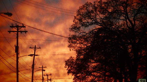 Low angle view of silhouette trees against sky during sunset