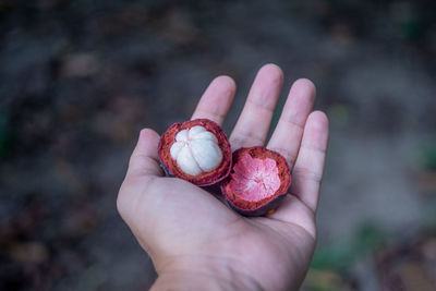 Close-up of hand holding strawberry