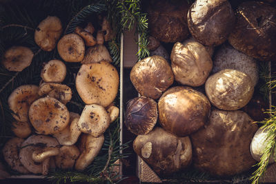 High angle view of mushrooms in basket