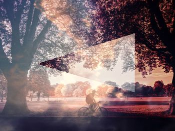 People riding bicycle by trees against sky