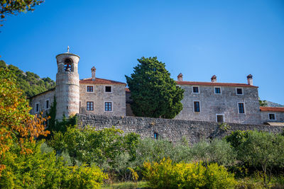 Plants and buildings against clear blue sky