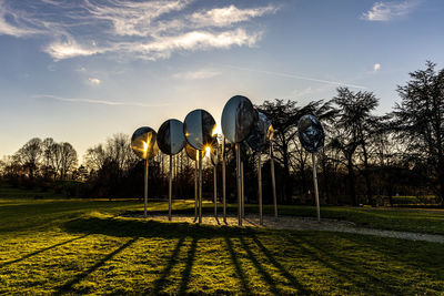 Plants on field against sky during sunset