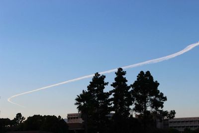 Low angle view of trees against clear blue sky