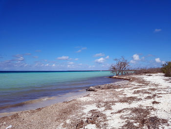 Scenic view of sea against blue sky