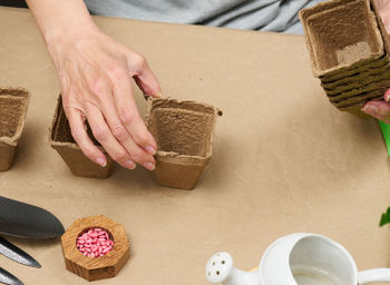 Woman at home holding paper cups for planting plants and vegetables. hobby and leisure