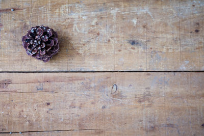 Close-up of wooden door