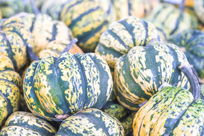 Close-up of pumpkins for sale at market stall