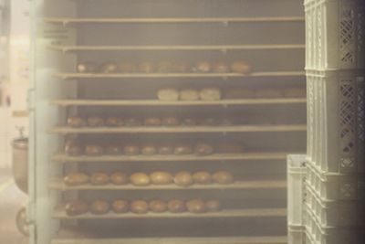 Close up of plant against blurred background