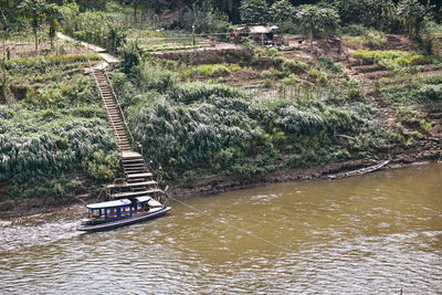 High angle view of river amidst trees in forest