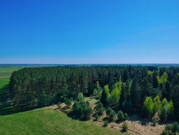 Scenic view of trees against clear blue sky