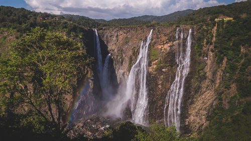 Scenic view of waterfall in forest