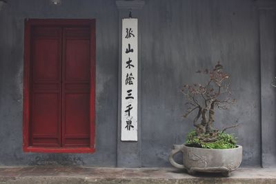 Closed door of house by bonsai tree