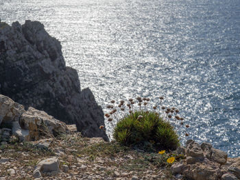 High angle view of rocks on beach