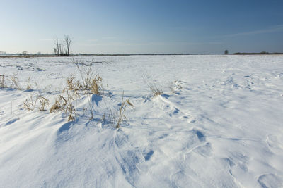 Scenic view of snow covered field against sky