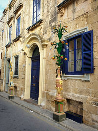 Potted plants outside building