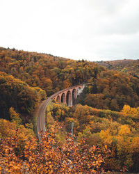 Arch bridge amidst trees against sky during autumn