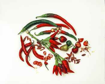 Close-up of red flower over white background