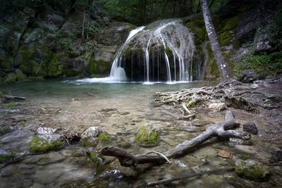 Scenic view of waterfall in forest