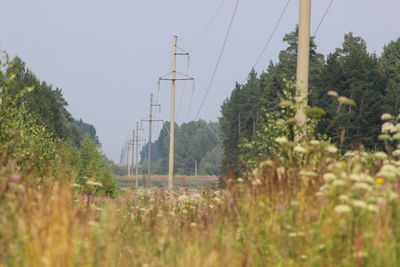 Scenic view of field against clear sky