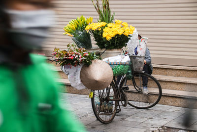 Potted plant on street