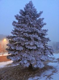 Snow covered landscape