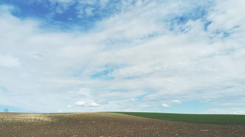 Scenic view of field against sky