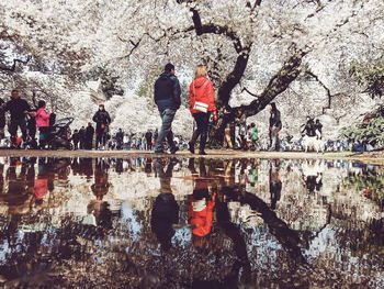 People by lake during cherry blossoms in park