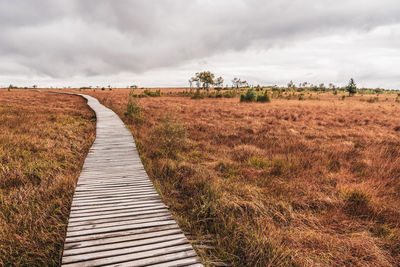 Landscape in the high fens nature park in the eifel, belgium.