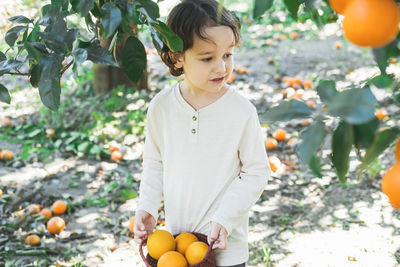 A little boy is holding a basket of bright oranges in his hands.