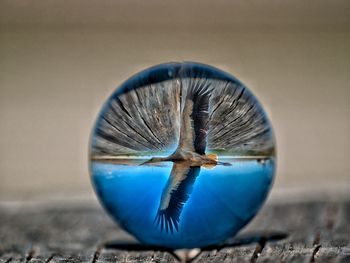 Close-up of reflection on glass