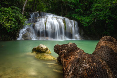 Scenic view of waterfall in forest